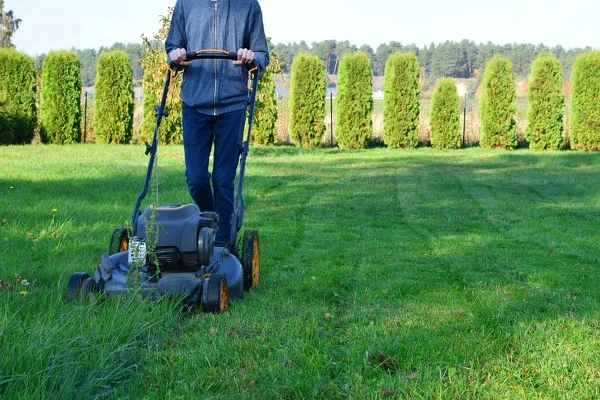 What to Expect From a Professional Lawn Mowing Service in Flowery Branch, GA What to Expect From a Professional Lawn Mowing Service in Flowery Branch, GA