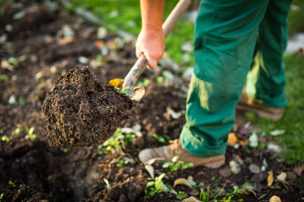 Why Mulching Is Essential for Sustainable Landscape Maintenance in Flowery Branch, GA Why Mulching Is Essential for Sustainable Landscape Maintenance in Flowery Branch, GA